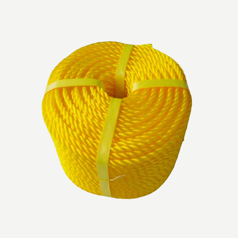 PP Ropes
